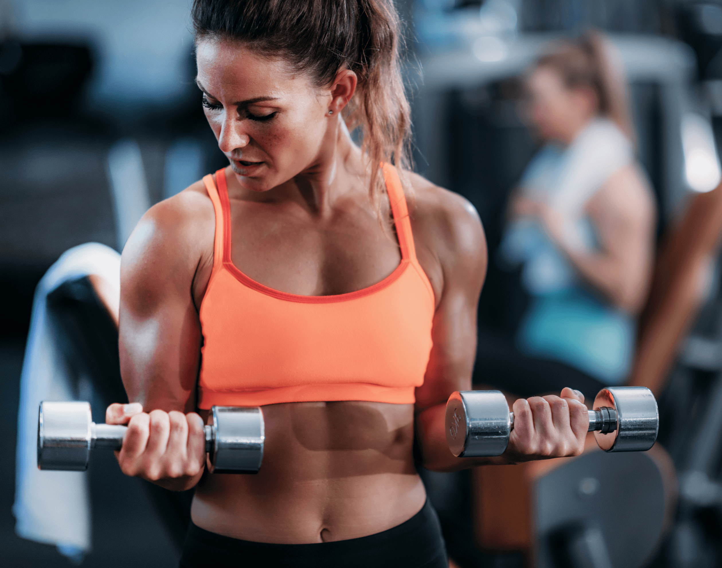 ACHIEVE MUSCLE GAINS NOT FAT GAINS - HerbaChoices