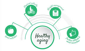 Fitness Tips for Healthy Aging - HerbaChoices
