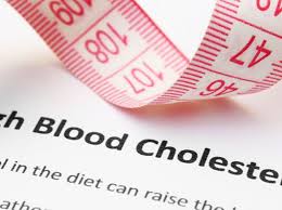 Cholesterol & Digestive System