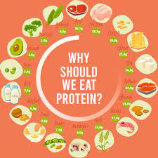 10 Key Benefits of Protein (From Weight Loss to Glowing Skin)