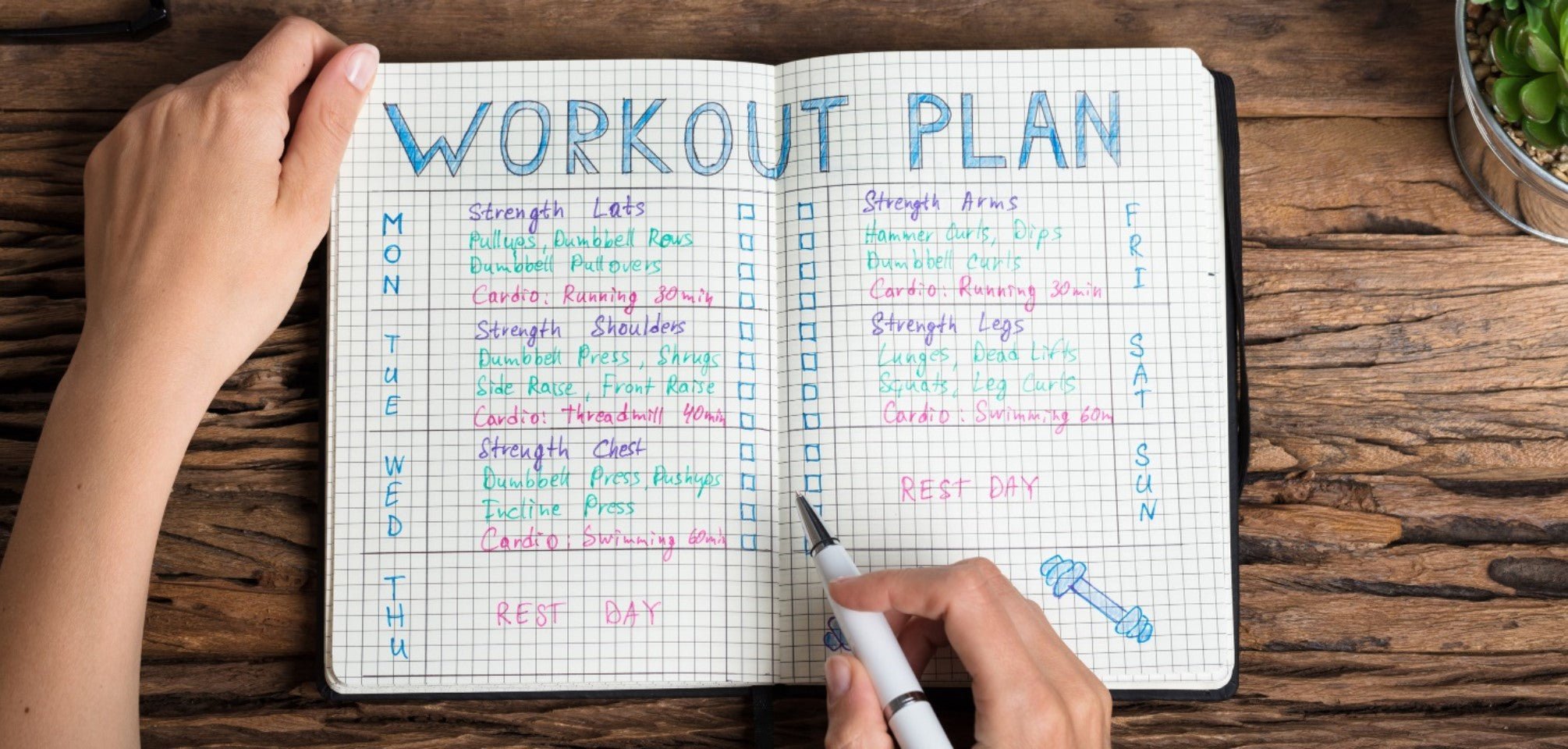How to Create a Personalised Weekly Exercise Plan - HerbaChoices