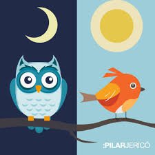 Larks vs Owls: Are you a Morning or Evening Type? - HerbaChoices