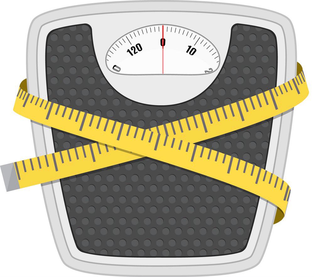 Scales vs Body Measurements ⚖️ - HerbaChoices