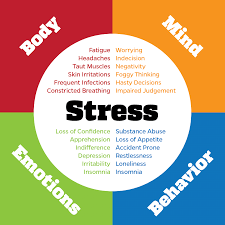 Stay on Track With Your Fitness During Stress - HerbaChoices