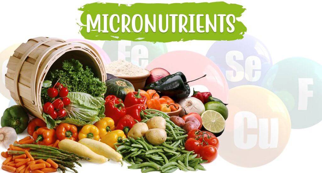 Micronutrient-rich herbs
