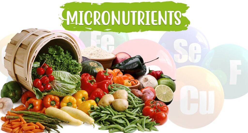 Micronutrients Supplements - HerbaChoices